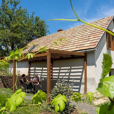 Tagyon Birtok Mandula Apartmanhaz Extérieur photo
